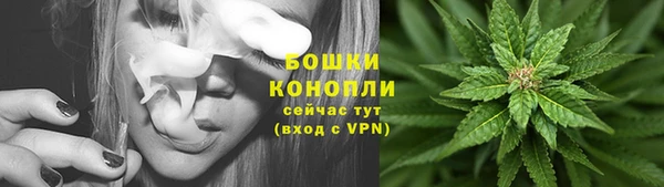 Альфа ПВП Козельск