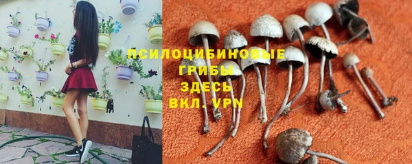 круглые Козловка