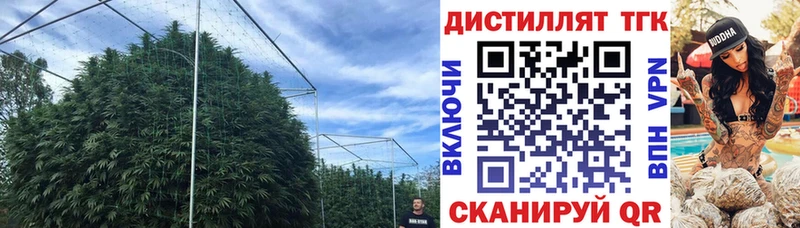 Купить закладки  Сокол  Дистиллят ТГК гашишное масло 