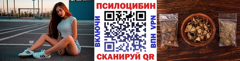 Псилоцибиновые грибы мухоморы  Купить закладки  Сокол 